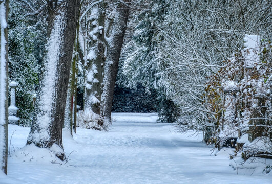 Weg auf einem historischen Friedhof in D&uuml;sseldorf im Winter