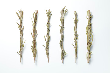 Dried rosemary twigs on white background