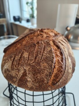 Homemade sourdough bread loaf cooling on kitchen rack, rustic artisan crust and natural fermentation, cozy home baking lifestyle
