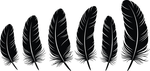 Obraz premium Black Bird Feather Silhouette Vector Set Featuring Various Plumage Shapes and Detailed Quill Textures for Nature Inspired Graphic Design Elements,
