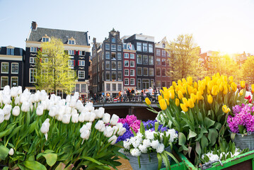 Facades of old historic Houses and trees over canal water, Amsterdam, Netherlands. High quality photo