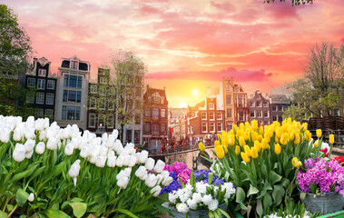 Facades of old historic Houses and trees over canal water, Amsterdam, Netherlands. High quality photo
