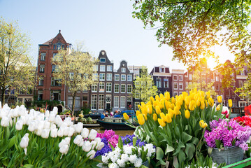 Facades of old historic Houses and trees over canal water, Amsterdam, Netherlands. High quality photo