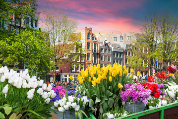 Facades of old historic Houses and trees over canal water, Amsterdam, Netherlands. High quality photo