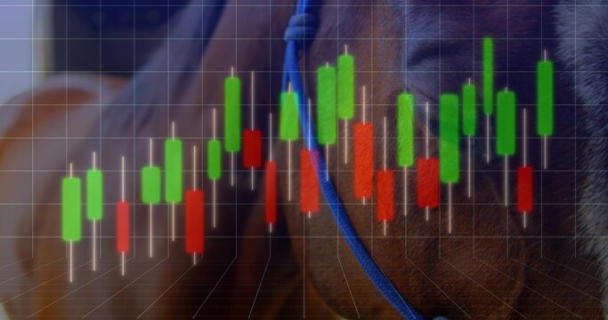 Showing brown horse wearing blue rope halter at stable, displaying 3D grid and candlestick bars