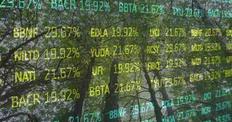 Fototapeta premium Blending tall deciduous tree trunks and dense canopy in wooded forest, with translucent ticker text