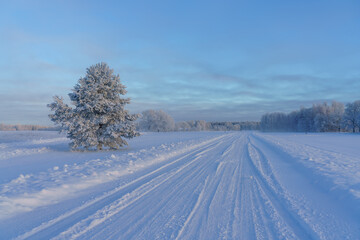 snow covered road