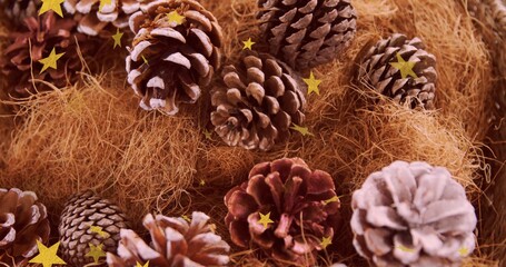 Showing pine cone cluster with frosted tips on coarse fiber at tabletop, with gold star confetti
