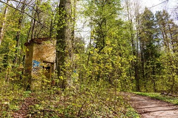 Brick ruins, crumbling yet vibrant with graffiti, nestle amidst lush spring foliage. An eerie, forgotten structure in a serene forest park, blending history and nature