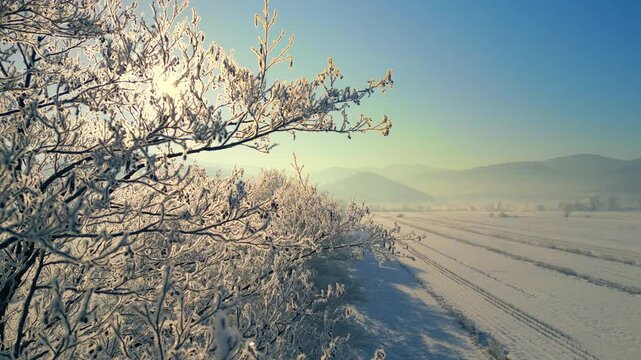 Frost-covered tree branch frames a serene winter landscape with snow-covered fields and distant mountains under a clear blue sky. Sunlight highlights ice crystals, creating a tranquil.