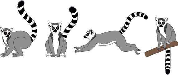Set of cute ring tailed lemur characters in different poses © MdSoleman