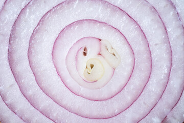 red onion slice