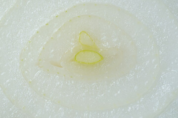 cross-section of onion