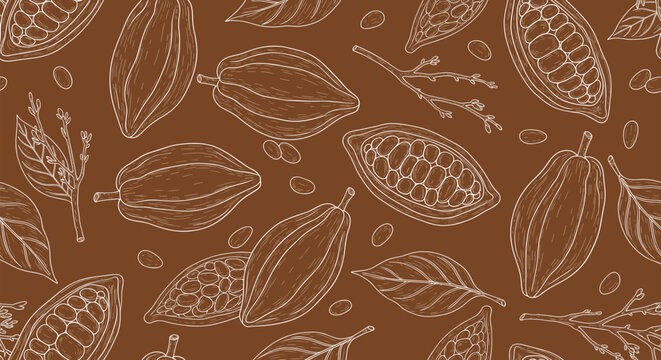 Seamless cacao pod and cocoa bean pattern with hand drawn botanical texture chocolate background vector illustration