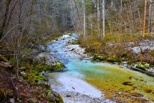 Kamni&scaron;ka Bistrica river fowing in a temperate, deciduous forest in Gorenjska, Slovenia