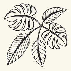 A detailed illustration of a leaf with multiple intricate veins and serrated edges