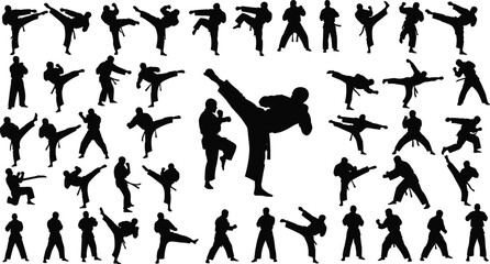 Martial arts fighter silhouettes set, karate taekwondo kick poses and combat training movements, dynamic fighting figures isolated on white background vector © Ideasy Mind