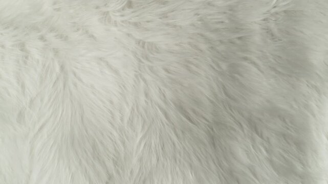 Waving White Animal Fur Texture Background in Slow Motion, 1000fps.