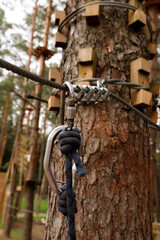 Fototapeta premium Ropes course equipment, adventure park gear. Safety system elements close-up: safety line (or cable), metal fasteners and clamps on pine tree trunk