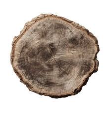 Overhead view of a tree stump, showing rings and texture, against a stark black backdrop