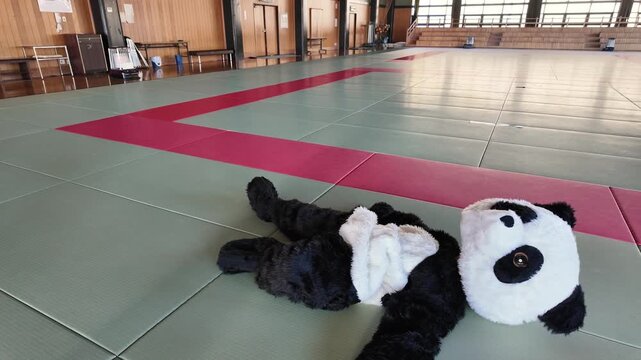 道場でパンダの着ぐるみに抱きつく空手着の女の子　ユニークな交流イベント