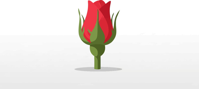 A close-up view of a vibrant red rosebud with green sepals and stem