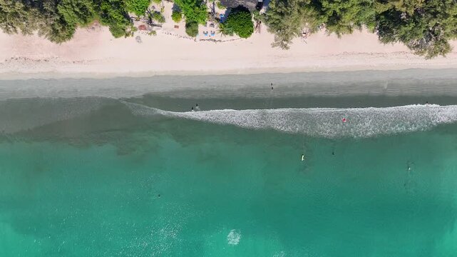 Top-down aerial view of Koh Phayam beach showing turquoise water, gentle waves, swimmers, surfers, and sandy shoreline bordered by trees.
