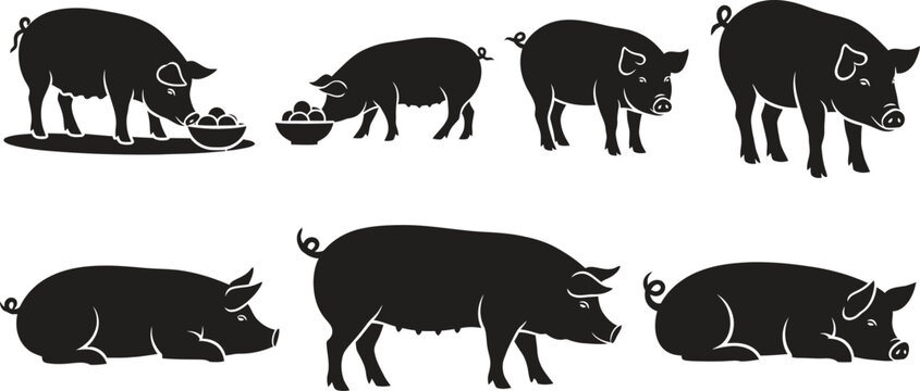 Seven pig silhouettes in various poses eating and standing against a white background silhouette