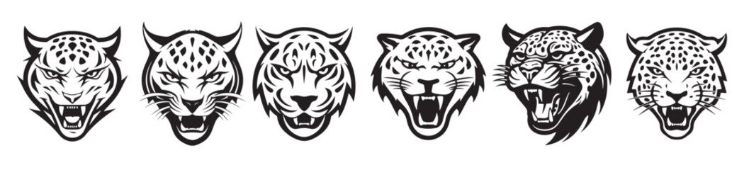  cheetah head on white background wild animals © Jsksh