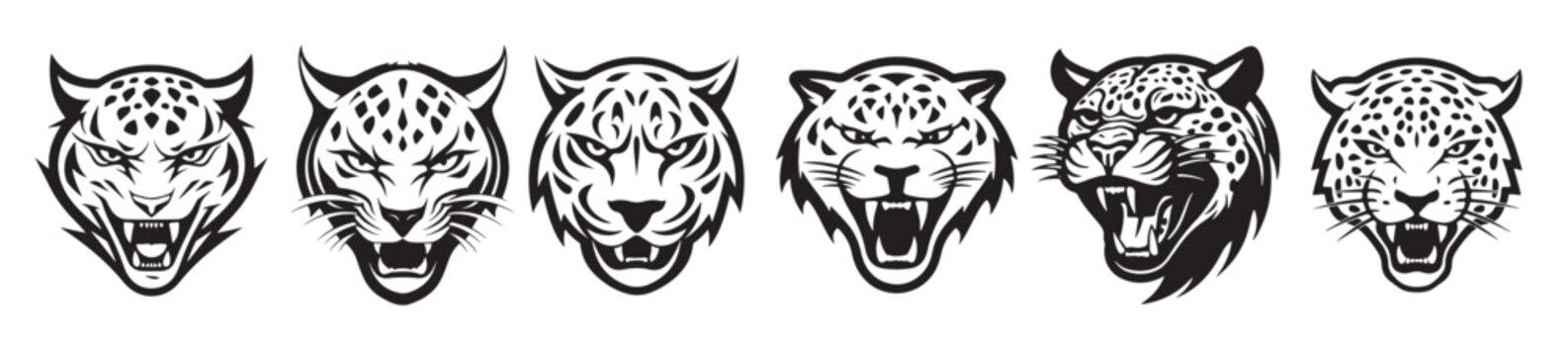  cheetah head on white background wild animals