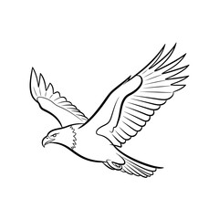 Obraz premium Front View Eagle Wings Spread Silhouette