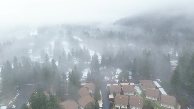 Residential cluster near Icicle Road dense evergreens rising through morning fog. Soft winter light highlights muted roofing tones and patchy snow across subdued textures in Leavenworth, WA