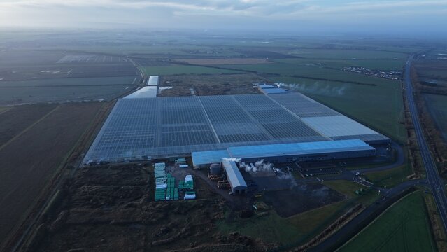 Aerial view of expansive glasshouses reflecting the sky, contrasting with dark, earthy tones of the surrounding fields, Bridge Farm Horticulture, Spalding, United Kingdom.