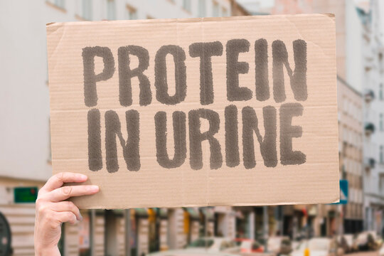 "Protein In Urine" Excess protein indicates possible issues. PROTEIN. URINE. EXCESS. INDICATES. ISSUES.