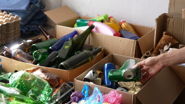 Aluminum cans recycling. Metal Waste Sorting Person