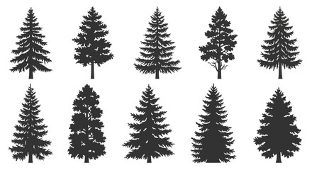 Fototapeta premium Collection of ten detailed black silhouettes of various evergreen pine and fir trees, showcasing different shapes and foliage densities.