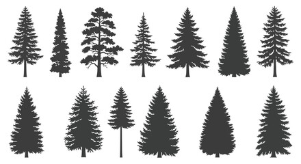 Obraz premium A collection of various evergreen tree silhouettes, showcasing different shapes and sizes of pine and fir trees.