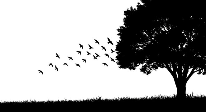 Silhouette of a large tree with a flock of birds flying across a white sky above a grassy ground.
