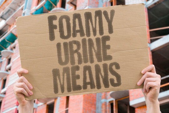 "Foamy Urine Means" Bubbles in urine raise health concerns. FOAMY. URINE. HEALTH. KIDNEYS. CONCERN.