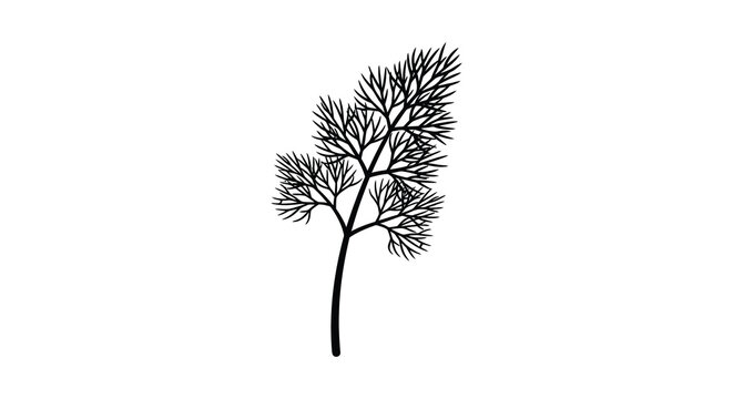 A detailed black and white illustration depicts a sprig of dill showcasing its feathery delicate foliage and stem