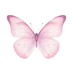 Obraz premium Watercolor Pink Butterfly Isolated on White Background.