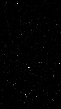Vintage Old Film Frame Loop. Looping old film style black and white grunge and glitch effects overlay or background.