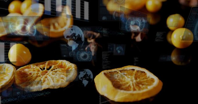 HUD graphics appearing, dried orange slices and star anise floating and rotating, visualizing data