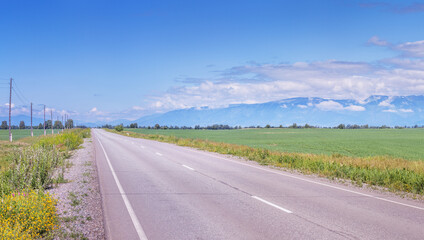 Fototapeta premium A road among flowering fields and meadows, a spacious mountain valley, summer travels