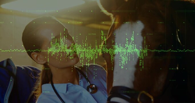 Leaning vet in blue scrubs with stethoscope checking horse muzzle inside trailer, green waveform