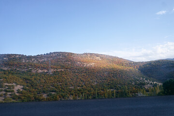 Obraz premium Serene Hilly Landscape With Afternoon Sunlight and Blue Skies