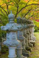 Fototapeta premium 日本 広島県三原市高坂町にある佛通寺の紅葉した木々と灯籠
