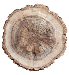 Fototapeta premium A detailed, high-angle close-up of a tree trunk cross-section, revealing concentric rings