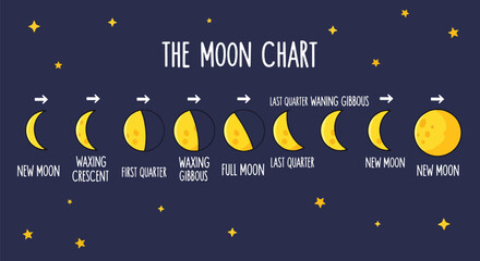 Moon phase chart showing astronomical lunar cycle from crescent to full moon on dark night sky background with stars vector educational illustration © Vect Art