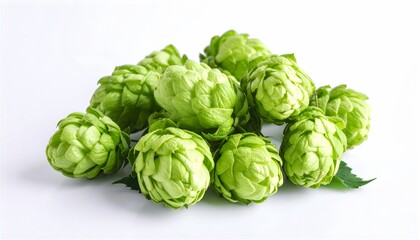 Hopfen mit wei&szlig;em Hintergrund